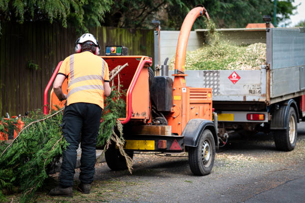 How Our Tree Care Process Works  in  Tower City, PA